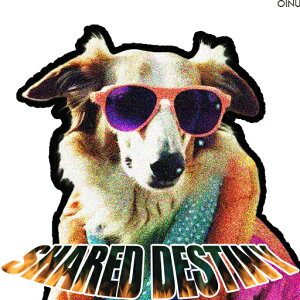 TOX R[ ^I  NbVJo[ 45×45cm Aj}   NbV{̕t ` t@