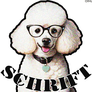 ዾ v[h  n[gy_g eLXg NbVJo[ 45×45cm Aj}   NbV{̕t ` t@