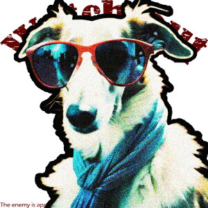 TOX s }t[ eLXg NbVJo[ 45×45cm Aj}   NbV{̕t ` t@