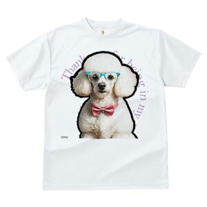 TVc Y LbY t@  t  vg JWA 킢 lԗp tBbglX _X Kl v[h lN^C 