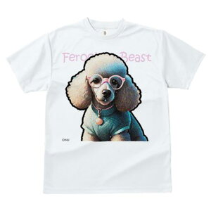 TVc fB[X t@  t  vg JWA 킢 lԗp tBbglX _X Kl v[h  킢