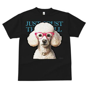 TVc fB[X t@  t  vg JWA 킢 lԗp tBbglX _X ԂKl v[h 