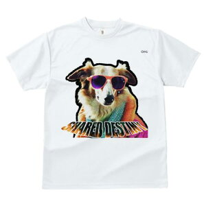 TVc Y LbY t@  t  vg JWA 킢 lԗp tBbglX _X TOX R[ ^I 