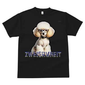 TVc fB[X t@  t  vg JWA 킢 lԗp tBbglX _X Kl v[h