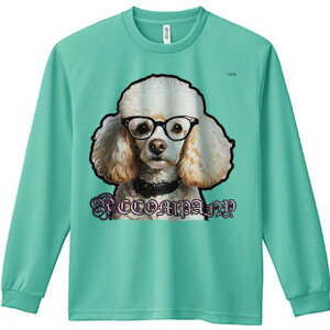 TVc lԗp Y Ht vg W[ AEghA JWA 킢 t@ Kl v[h  