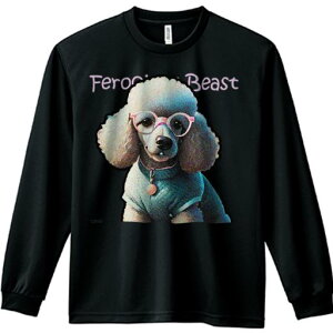 TVc lԗp Y Ht vg W[ AEghA JWA 킢 t@ Kl v[h 