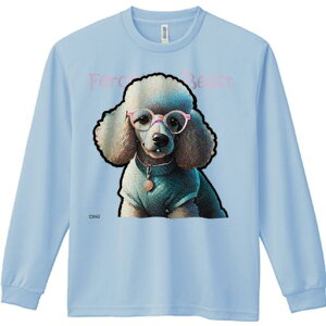 TVc lԗp Y Ht vg W[ AEghA JWA 킢 t@ Kl v[h 