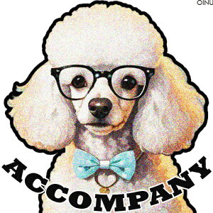 Kl v[h { lN^C NbVJo[ 45×45cm Aj}   NbV{̕t ` t@