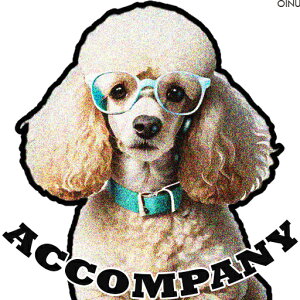 Kl v[h  NbVJo[ 45×45cm Aj}   NbV{̕t ` t@