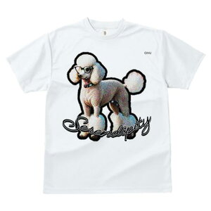 TVc fB[X t@  t  vg JWA 킢 lԗp tBbglX _X Kl v[h   LN^[