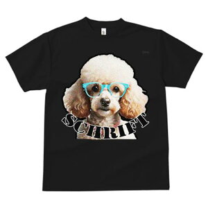 TVc fB[X t@  t  vg JWA 킢 lԗp tBbglX _X Kl v[h SCHRIFT