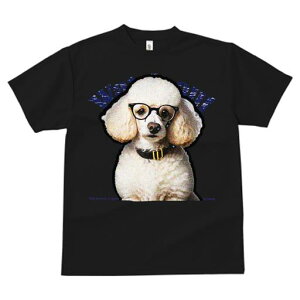 TVc fB[X t@  t  vg JWA 킢 lԗp tBbglX _X Kl v[h  