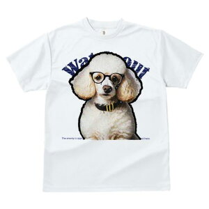 TVc fB[X t@  t  vg JWA 킢 lԗp tBbglX _X Kl v[h  