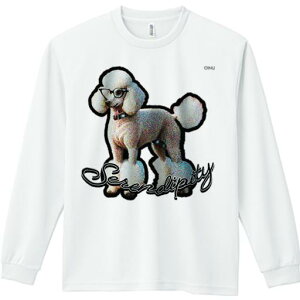 TVc lԗp Y Ht vg W[ AEghA JWA 킢 t@ Kl v[h   LN^[