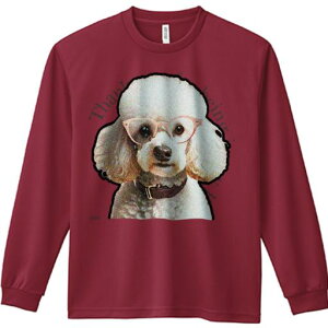 TVc lԗp Y Ht vg W[ AEghA JWA 킢 t@ Kl v[h