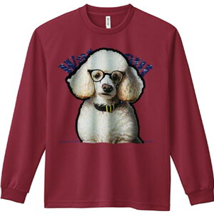 TVc lԗp Y Ht vg W[ AEghA JWA 킢 t@ Kl v[h  