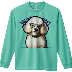 TVc lԗp Y Ht vg W[ AEghA JWA 킢 t@ Kl v[h  