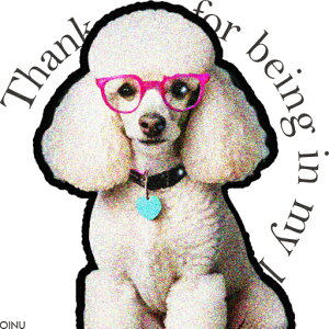 ዾ v[h { n[g^^O NbVJo[ 45×45cm Aj}   NbV{̕t ` t@