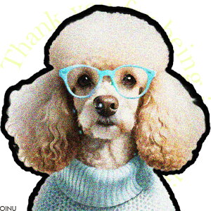 ዾ v[h Z[^[ NbVJo[ 45×45cm Aj}   NbV{̕t ` t@