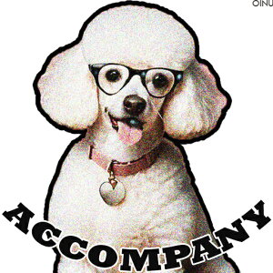 ዾ v[h D NbVJo[ 45×45cm Aj}   NbV{̕t ` t@