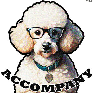 Kl v[h  n[g̃^O NbVJo[ 45×45cm Aj}   NbV{̕t ` t@