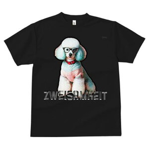 TVc Y LbY t@  t  vg JWA 킢 lԗp tBbglX _X Kl v[h Ԃ 