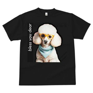 TVc fB[X t@  t  vg JWA 킢 lԗp tBbglX _X Kl v[h o_i  L[g