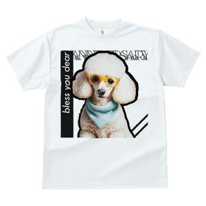 TVc Y LbY t@  t  vg JWA 킢 lԗp tBbglX _X Kl v[h o_i  L[g