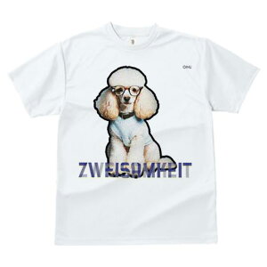 TVc fB[X t@  t  vg JWA 킢 lԗp tBbglX _X Kl v[h 