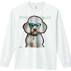 TVc lԗp Y Ht vg W[ AEghA JWA 킢 t@ Kl v[h  ybg ʔ