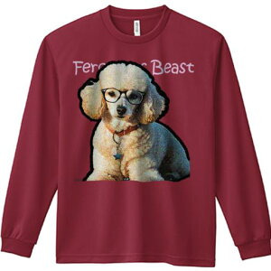 TVc lԗp Y Ht vg W[ AEghA JWA 킢 t@ Kl v[h lbNX