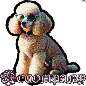 ዾ v[h eLXg wi NbVJo[ 45×45cm Aj}   NbV{̕t ` t@