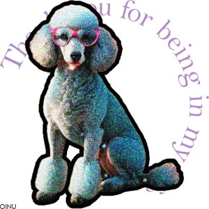 Kl v[h  NbVJo[ 45×45cm Aj}  NbV{̕t ` t@