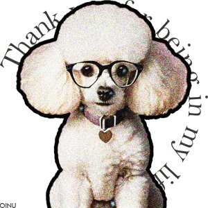 ዾ v[h  n[gy_g NbVJo[ 45×45cm Aj}   NbV{̕t ` t@