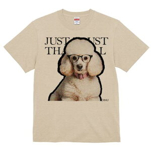 TVc Y LbY t@  t  vg JWA 킢 lԗp tBbglX _X Kl v[h sN̎