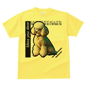 TVc Y LbY t@  t  vg JWA 킢 lԗp tBbglX _X Kl v[h  u[X[ 