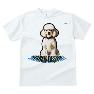 TVc fB[X t@  t  vg JWA 킢 lԗp tBbglX _X Kl v[h 