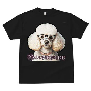 TVc fB[X t@  t  vg JWA 킢 lԗp tBbglX _X Kl v[h eLXg