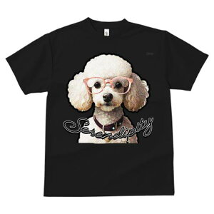 TVc fB[X t@  t  vg JWA 킢 lԗp tBbglX _X Kl v[h Jt t@bV  [A