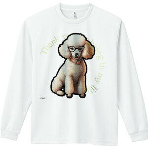 TVc lԗp Y Ht vg W[ AEghA JWA 킢 t@ Kl v[h  eLXg