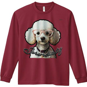 TVc lԗp Y Ht vg W[ AEghA JWA 킢 t@ Kl v[h Jt t@bV  [A