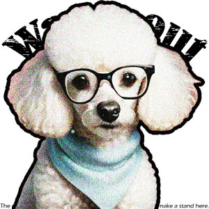 Kl v[h o_i eLXg NbVJo[ 45×45cm Aj}   NbV{̕t ` t@