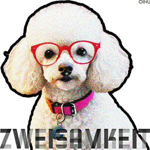 ዾ v[h  bZ[W NbVJo[ 45×45cm Aj}   NbV{̕t ` t@