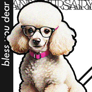 Kl v[h sN̎  NbVJo[ 45×45cm Aj}   NbV{̕t ` t@