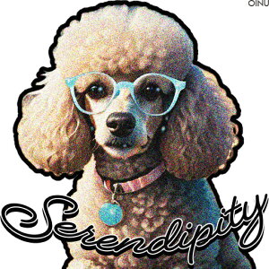 Kl v[h  NbVJo[ 45×45cm Aj}   NbV{̕t ` t@