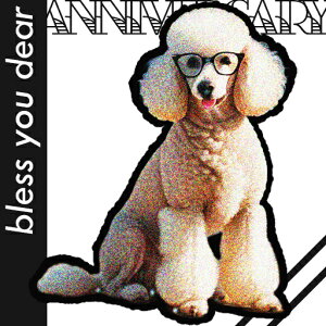 ዾ v[h  Y  NbVJo[ 45×45cm Aj}  NbV{̕t ` t@