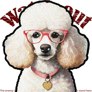 ዾ v[h n[g̃y_g NbVJo[ 45×45cm Aj}   NbV{̕t ` t@