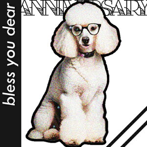 Kl v[h NbVJo[ 45×45cm Aj}   NbV{̕t ` t@