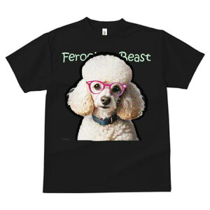 TVc fB[X t@  t  vg JWA 킢 lԗp tBbglX _X Kl v[h