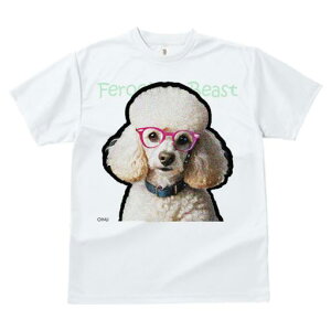 TVc fB[X t@  t  vg JWA 킢 lԗp tBbglX _X Kl v[h